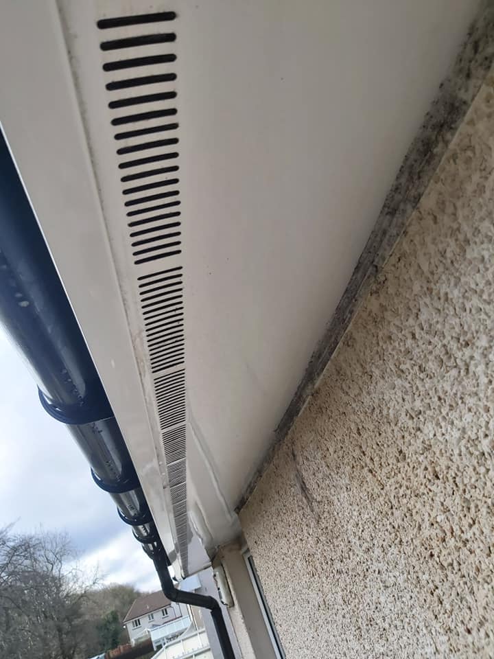 PVC Cleaning