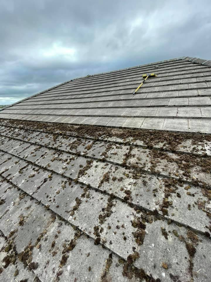 Moss removal in progress on a domestic roof