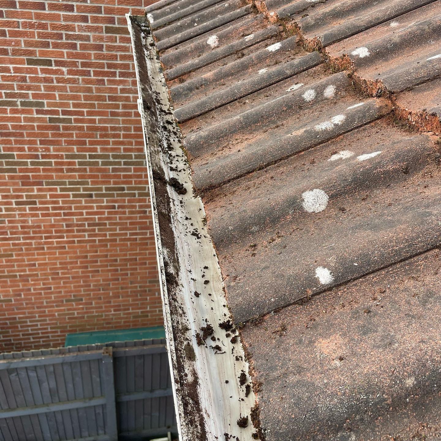 Gutter Cleaning